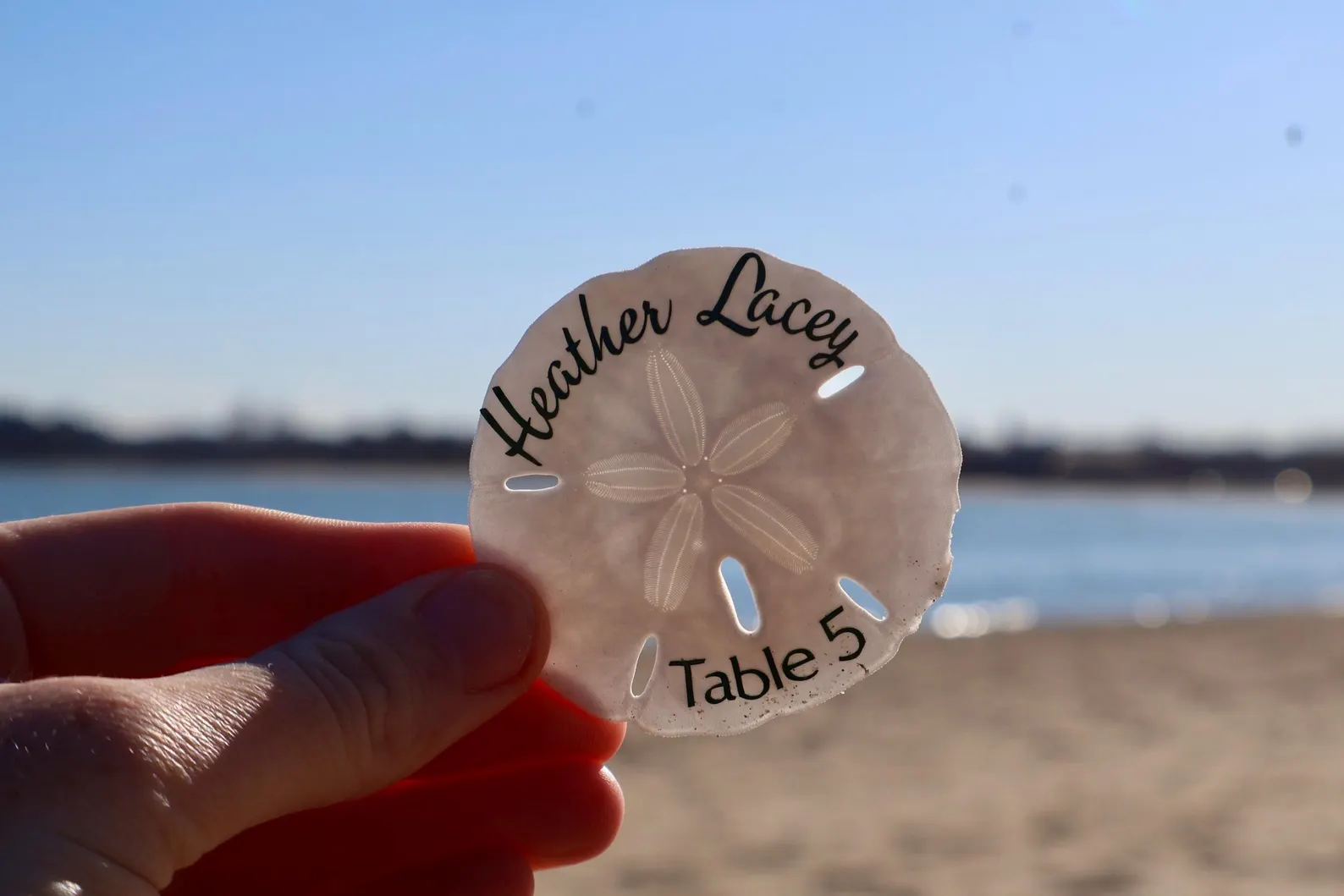 Sand Dollar Seashell Seating Chart — handcrafted Seating Charts for coastal & beach weddings by Shoreline Bride, Boston MA