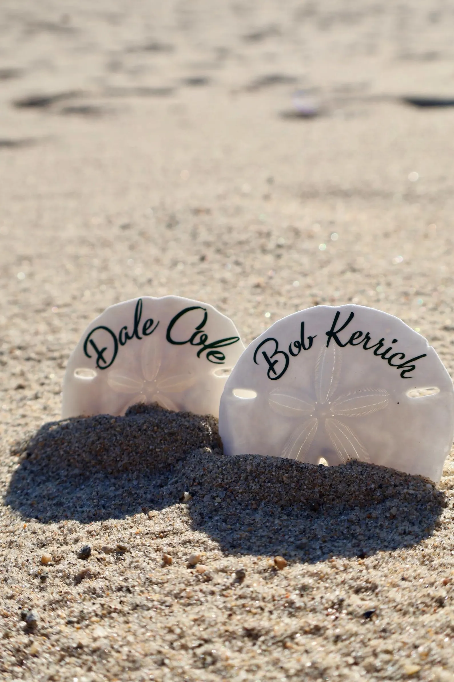 Sand Dollar Seashell Seating Chart — view 3
